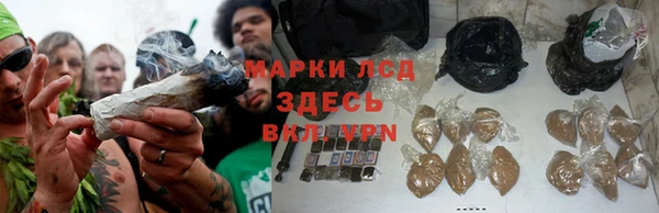 дурь Белокуриха