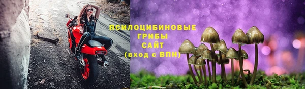 дурь Белокуриха